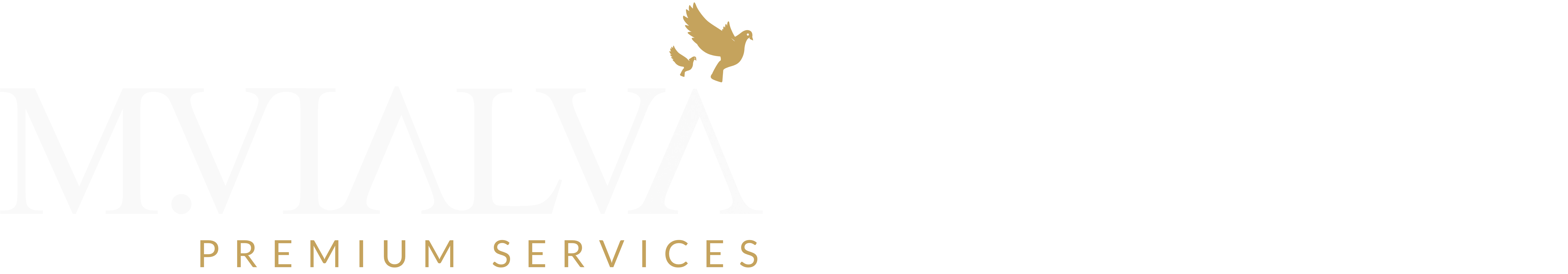 M.Vialva Premium Services | Prints